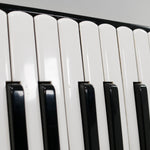 Crucianelli Magicvox  (19 1/4" LMH)
