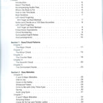Mighty Accordion Volume 2